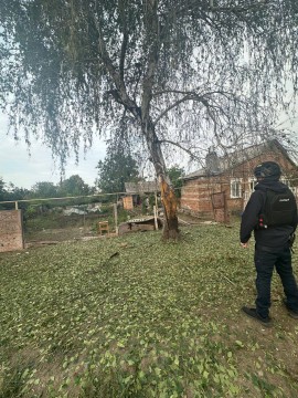 Правоохоронець біля подвір'я та зруйнованого дерева після ворожого обстрілу.