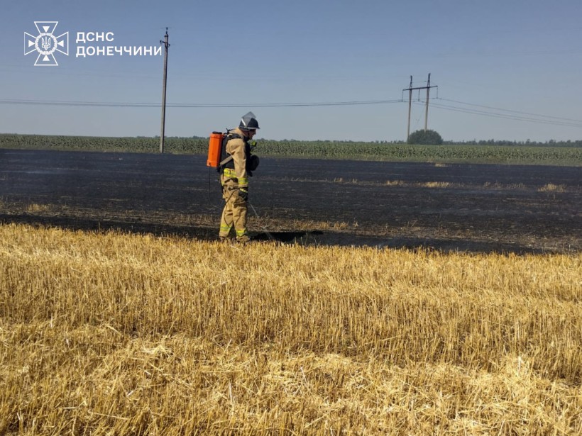 Рятувальники приборкали загоряння пшениці. Пожежник у захисному костюмі стоїть на полі.