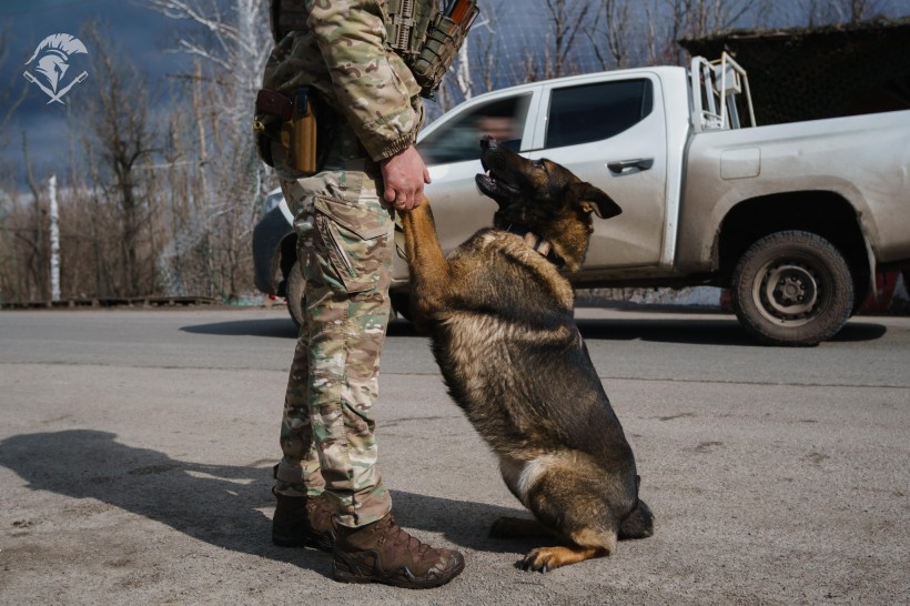 Поліцейський тримає передні лапи службового пса.