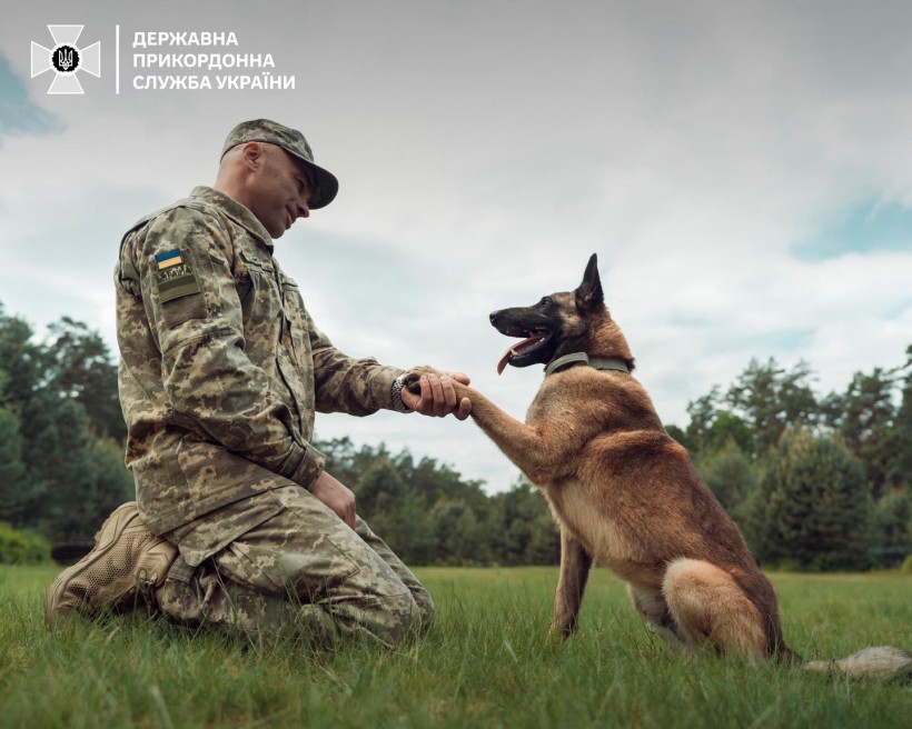 Український прикордонник вітається зі службовою собакою, який дає лапу