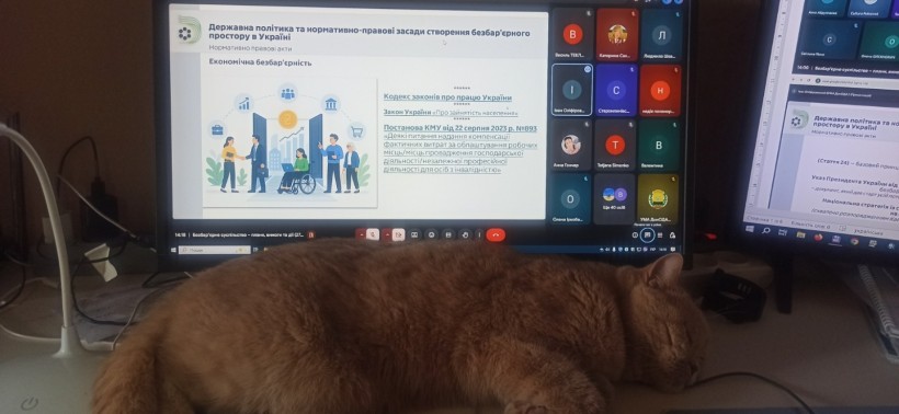 Кіт лежить перед монітором з презентацією