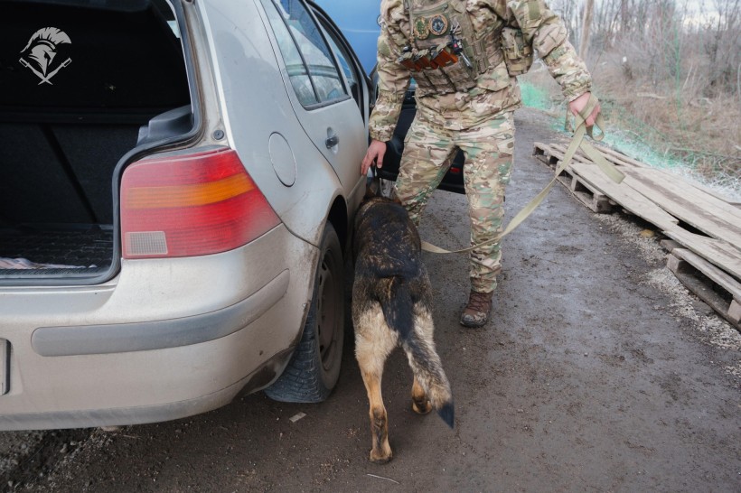 Відпрацювання. Службовий пес перевіряє легковий автомобіль на предмет незаконного обігу заборонених речовин.