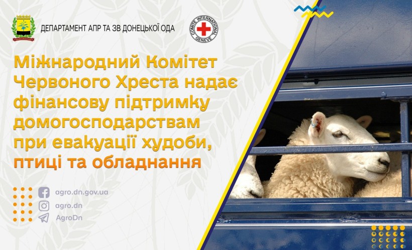 Вівці в спецтранспорті