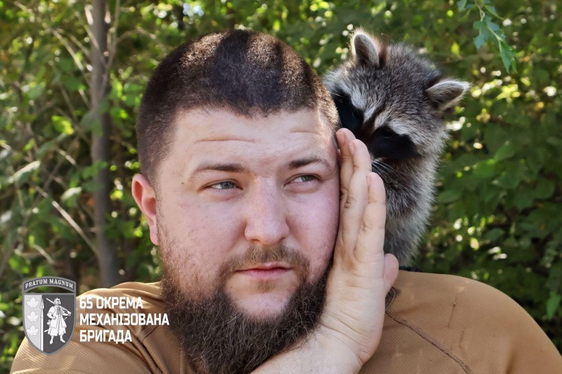 Єнот Моллі на плечі військового, щось "говорить" йому на вухо