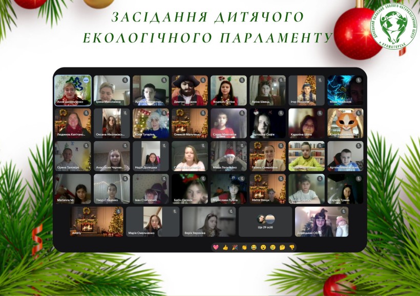 Онлайнове засідання екопарламенту