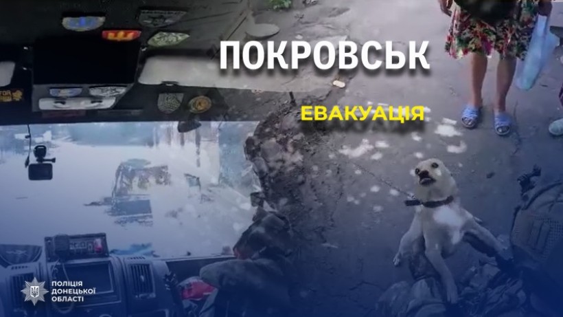 Колаж про евакуацію з Покровська з розбитими вулицями, поліцейською машиною, собакою та жінкою