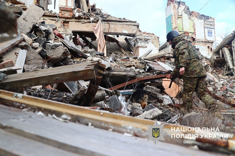 Службова собака допомогає рятувати людей які можуть бути під завалами.