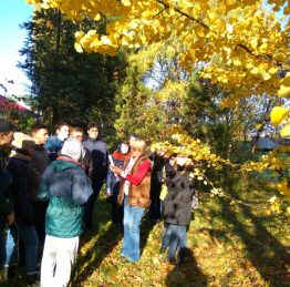 IMG_20161028_103310_1