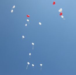 IMG_3451