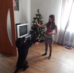 Мангуш7