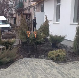 Mikolayvka10