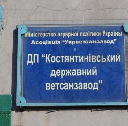чума1