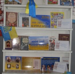 VLUU L100  / Samsung L100