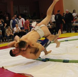 sumo3