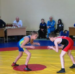 турнір з вільної боротьби6